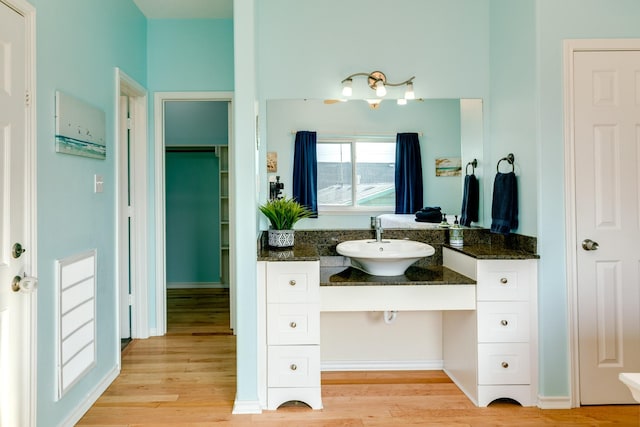 bathroom featuring wood finished floors and vanity