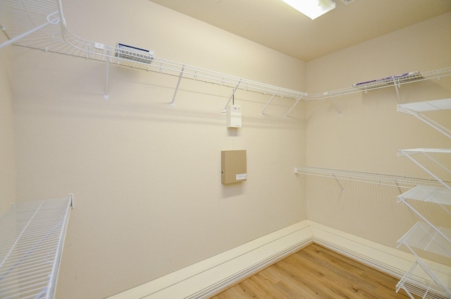 spacious closet featuring wood finished floors