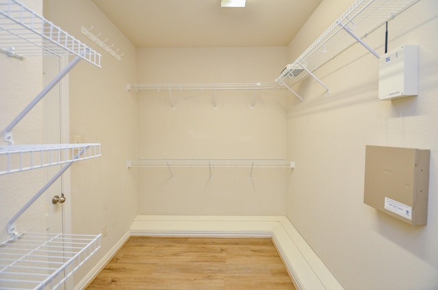 spacious closet featuring wood finished floors