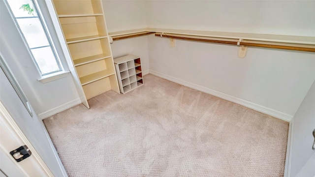 walk in closet featuring carpet flooring