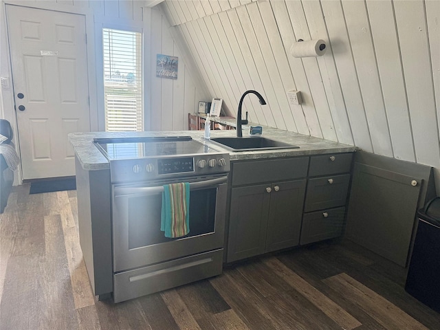 310 Angel Wing St, Surfside Beach, TX 77541 - kitchen with dark wood-type flooring, a sink, and electric range