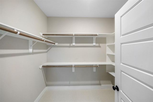 view of spacious closet