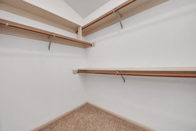 walk in closet featuring carpet flooring