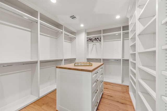 203 Munford St, Houston, TX 77008 - walk in closet with light wood-style flooring and visible vents