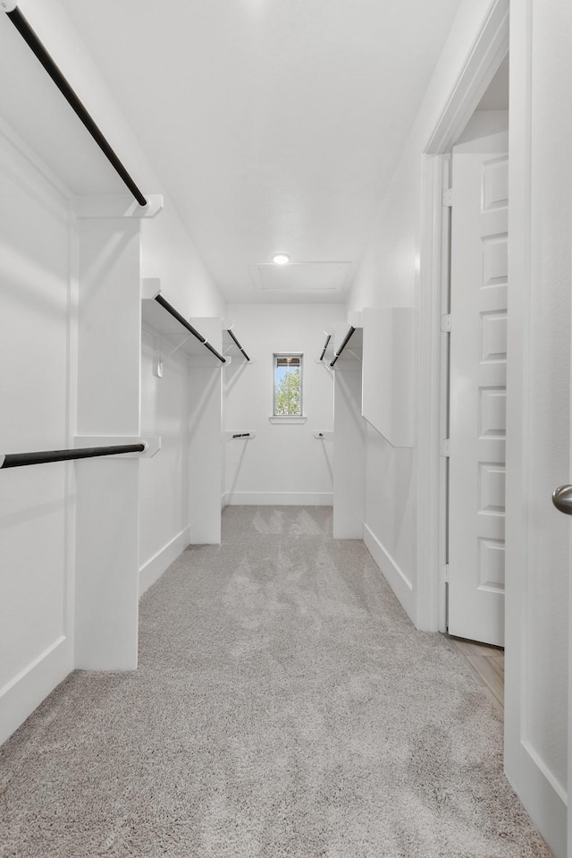 spacious closet featuring carpet flooring