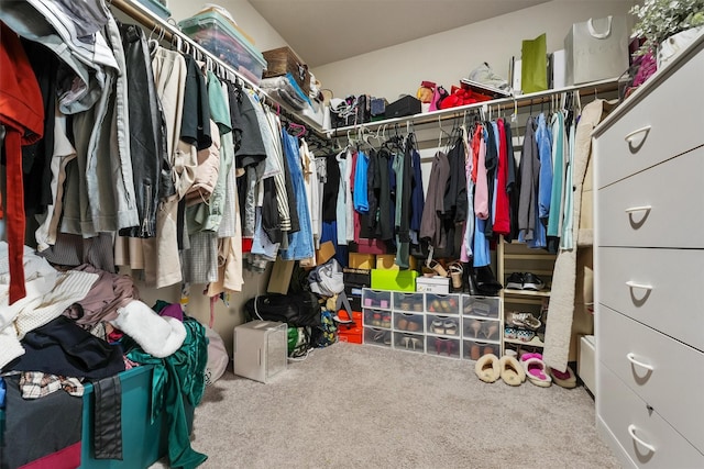 walk in closet with carpet floors