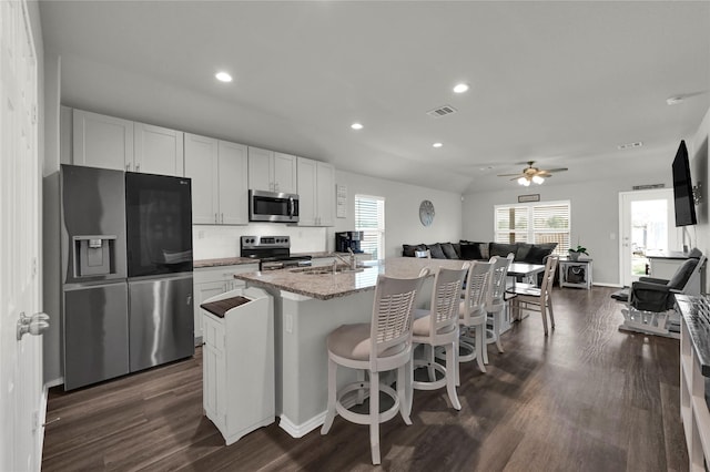 kitchen featuring a healthy amount of sunlight, dark wood-style floors, stainless steel appliances, and an island with sink