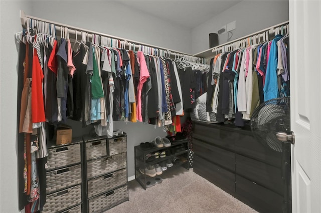 walk in closet with carpet