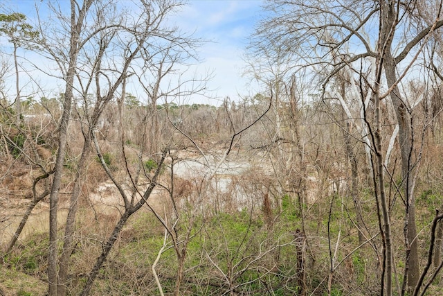 view of local wilderness with a forest view