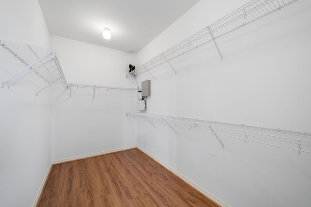 spacious closet featuring wood finished floors