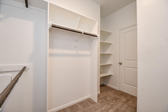 walk in closet featuring carpet flooring