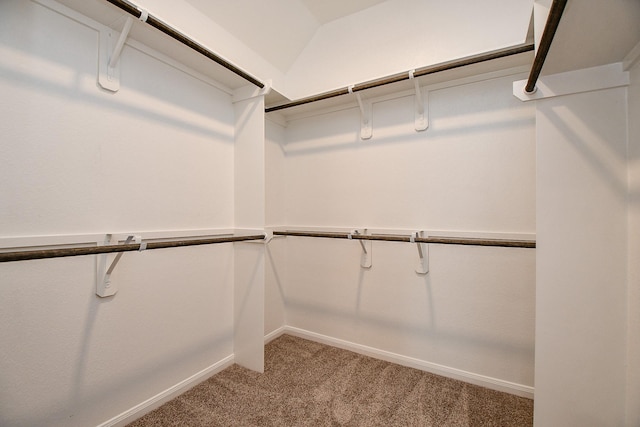 spacious closet featuring light carpet