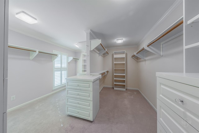 spacious closet featuring light colored carpet