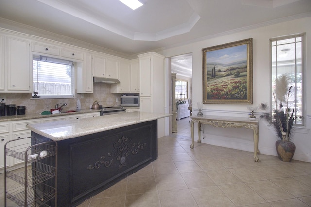 kitchen with a healthy amount of sunlight, under cabinet range hood, appliances with stainless steel finishes, and a raised ceiling