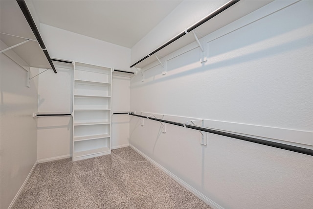 spacious closet with light colored carpet