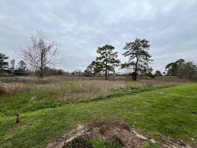 view of local wilderness