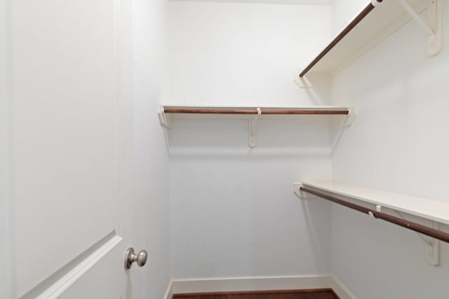 view of walk in closet