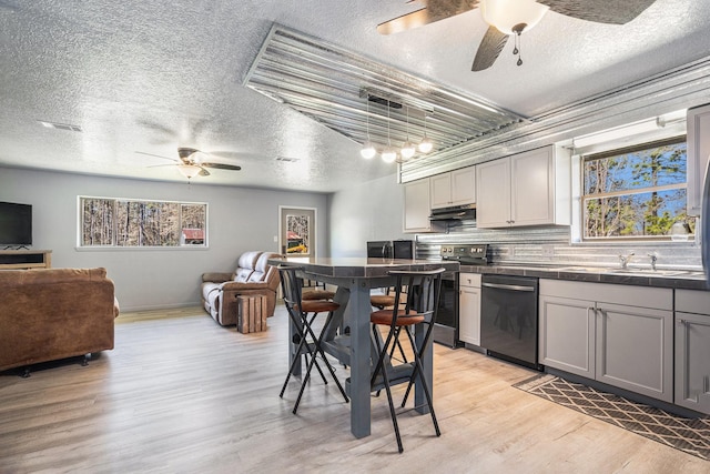 kitchen with dark countertops, light wood finished floors, stainless steel electric stove, open floor plan, and dishwasher