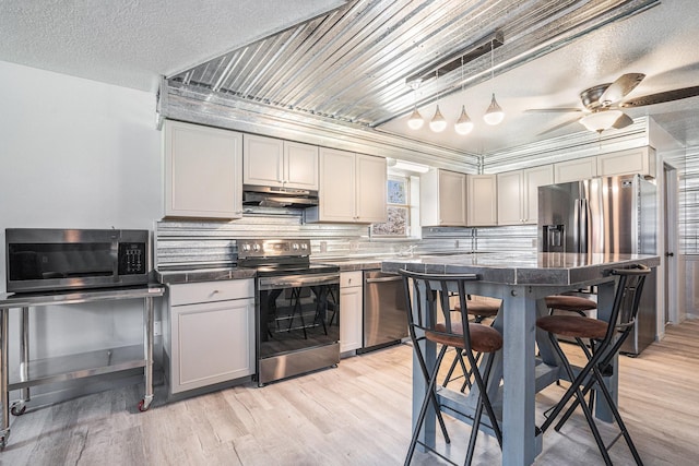 kitchen featuring under cabinet range hood, stainless steel appliances, light wood-type flooring, and tasteful backsplash