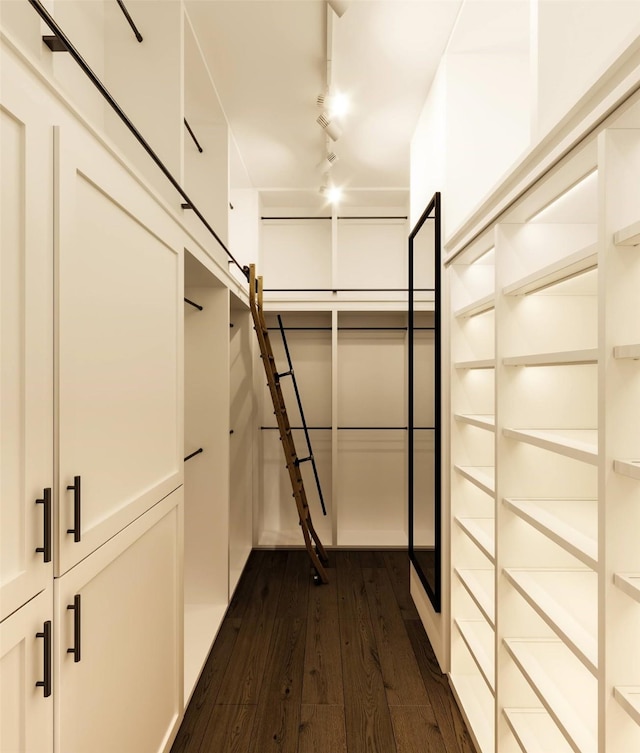 walk in closet with dark wood-type flooring and a barn door