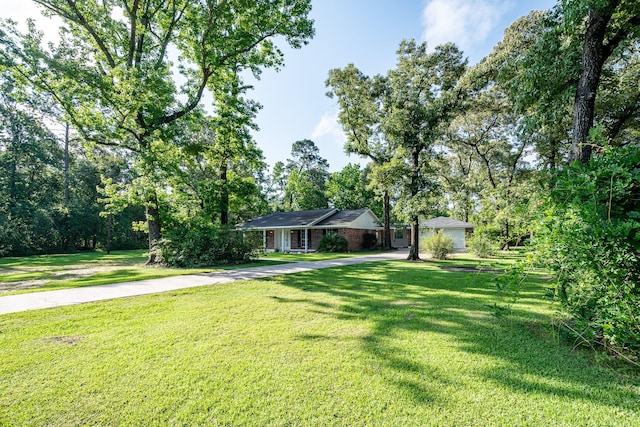 20650 S Hillcrest Dr, Porter, TX 77365 - ranch-style house featuring concrete driveway and a front lawn
