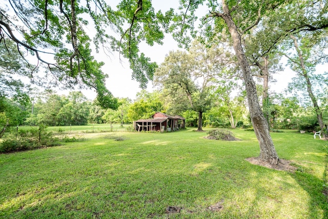 20650 S Hillcrest Dr, Porter, TX 77365 - view of green lawn with an outbuilding and view of wooded area