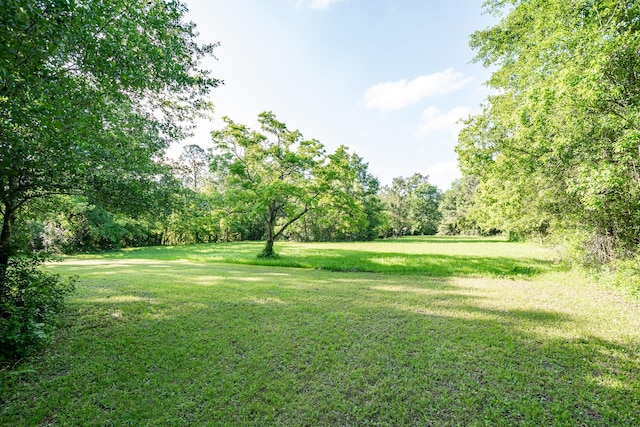 20650 S Hillcrest Dr, Porter, TX 77365 - view of grassy yard