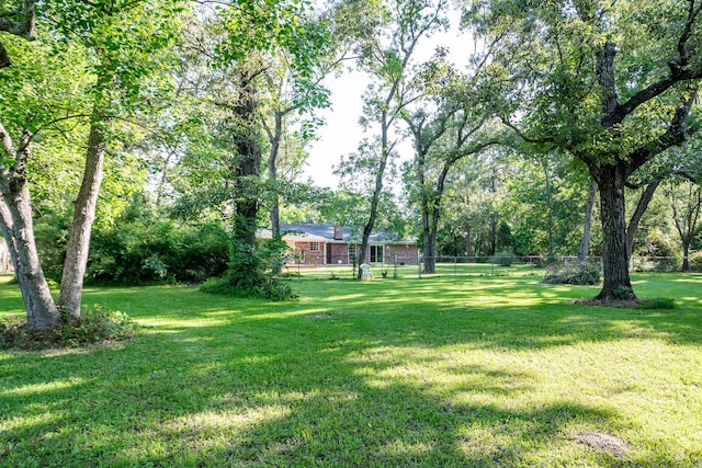 20650 S Hillcrest Dr, Porter, TX 77365 - view of yard