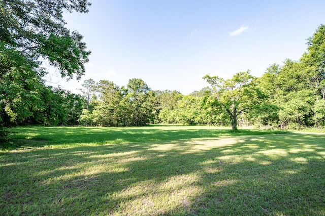 20650 S Hillcrest Dr, Porter, TX 77365 - view of green lawn featuring a view of trees