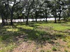 Listing photo 2 for 0 County Road 306, Brazoria TX 77422