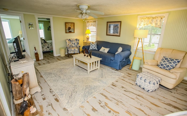 living room featuring a ceiling fan, crown molding, a textured ceiling, and wood finished floors