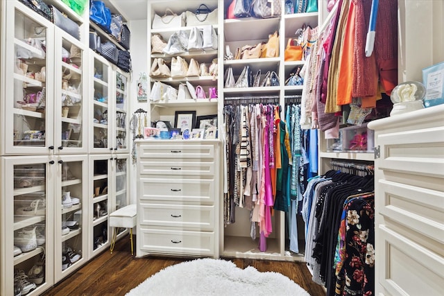 spacious closet with dark wood finished floors