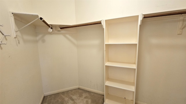 walk in closet featuring carpet floors