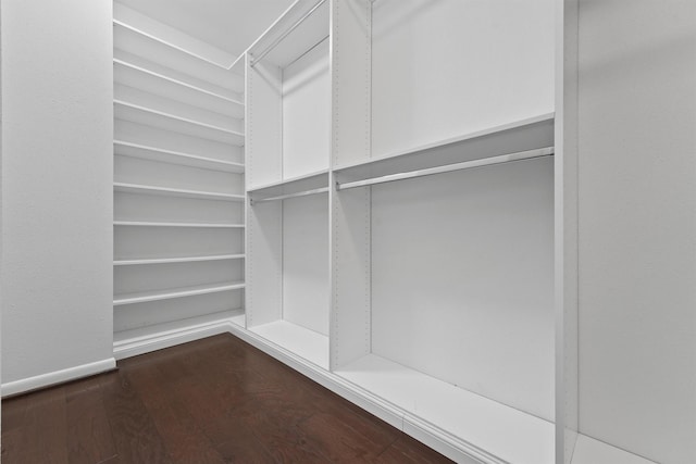 spacious closet featuring dark wood-style flooring