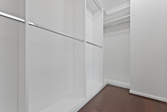 spacious closet featuring dark wood-style flooring