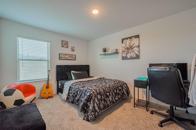 bedroom with baseboards and carpet floors