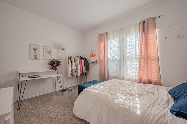 carpeted bedroom with multiple windows