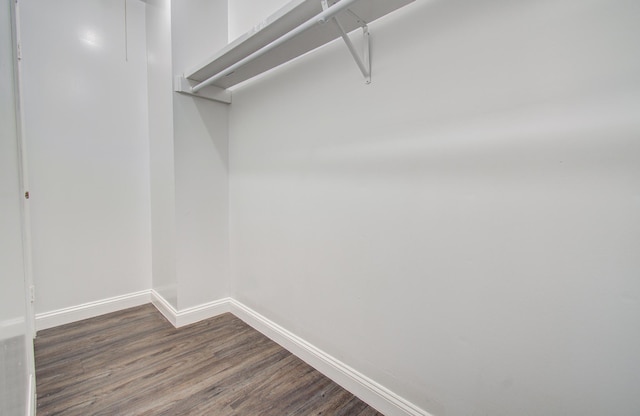 walk in closet with dark wood-style floors