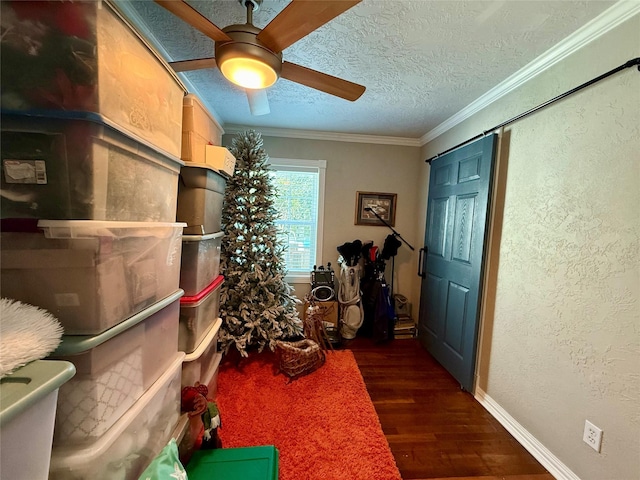 interior space with ceiling fan