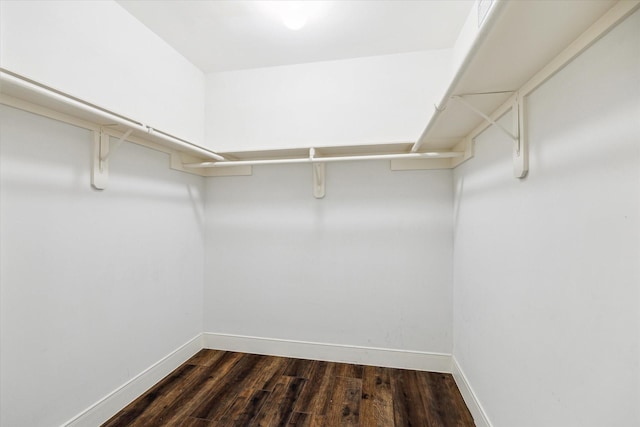 walk in closet featuring wood finished floors