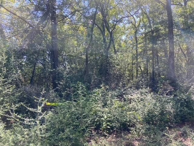 Listing photo 3 for 0 Bluff Rd, Spicewood TX 78669