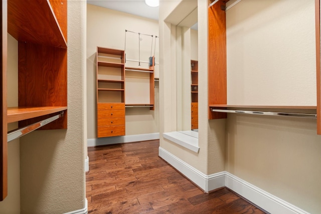 walk in closet featuring wood finished floors