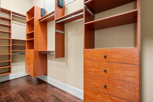 spacious closet with dark wood-type flooring