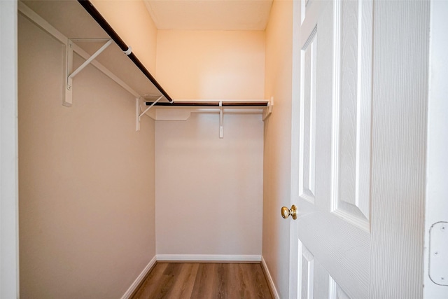 walk in closet featuring wood finished floors