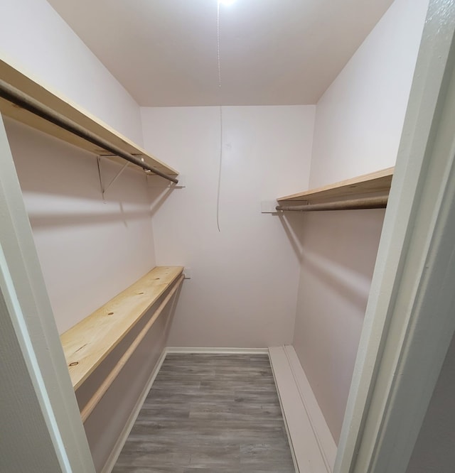 spacious closet featuring wood finished floors