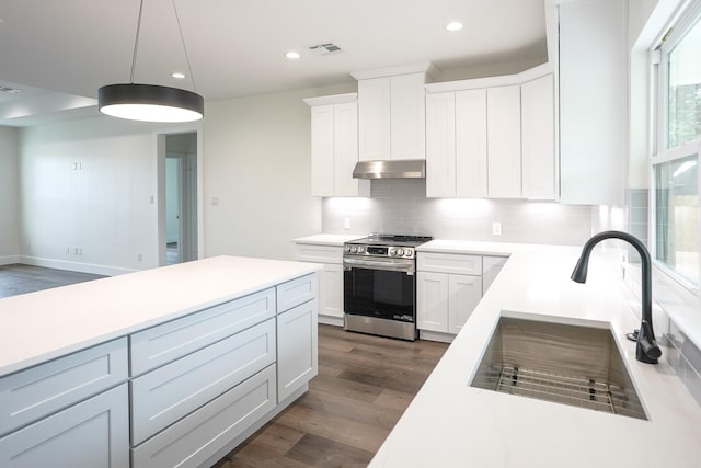 kitchen with dark wood-style floors, stainless steel electric range oven, backsplash, a sink, and under cabinet range hood