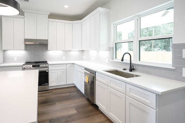 kitchen with stainless steel appliances, tasteful backsplash, dark wood-type flooring, a sink, and under cabinet range hood