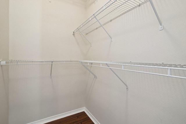 spacious closet with dark wood finished floors