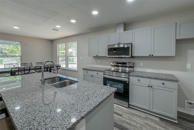 kitchen with light wood finished floors, plenty of natural light, appliances with stainless steel finishes, light stone countertops, and a sink