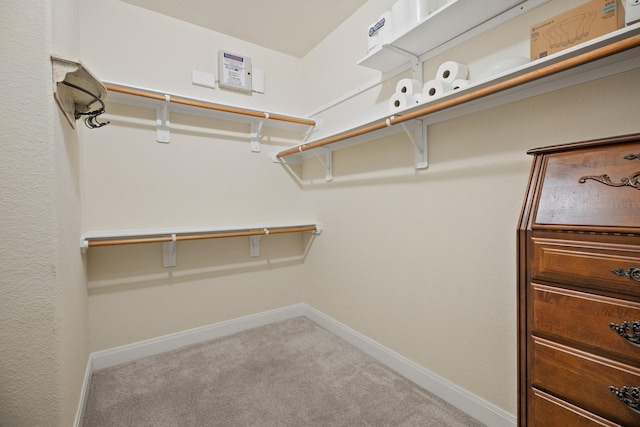 spacious closet featuring carpet